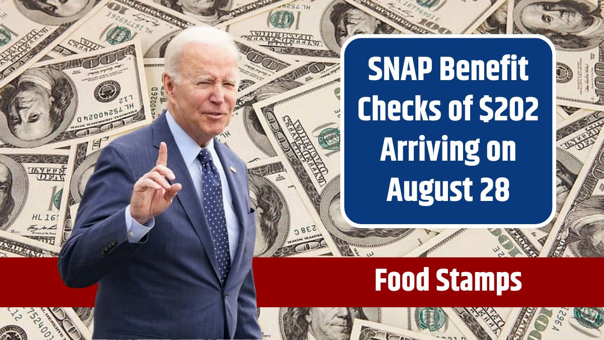 Food Stamps - SNAP Benefit Checks of $202 Arriving on August 28 in These States